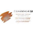 Kép 2/6 - Glitter Type 12ml tinta Guitar - T67 Nostalgic Honey