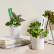 Kép 3/5 - Garden Marker tartós jelölőtoll 2db Mungyo Gandan