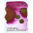 Kép 1/2 - Töltőtolltinta 50ml BLack E. Standard Diamine - Cranberry