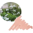 Kép 1/2 - Shikiori töltőtolltinta 20ml Sailor - Hanakanmuri