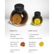 Kép 2/3 - Töltőtolltinta 65ml+15ml Colorverse - Ginko & Golden Leaves 