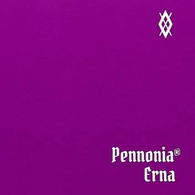 Töltőtolltinta 60ml Pennonia - Erna